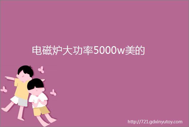 电磁炉大功率5000w美的