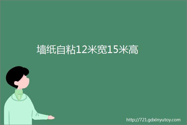 墙纸自粘12米宽15米高