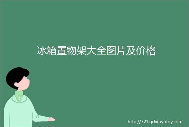 冰箱置物架大全图片及价格