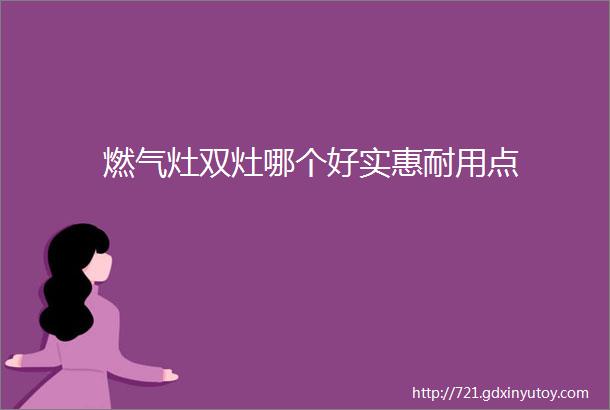 燃气灶双灶哪个好实惠耐用点