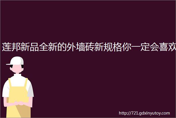 莲邦新品全新的外墙砖新规格你一定会喜欢