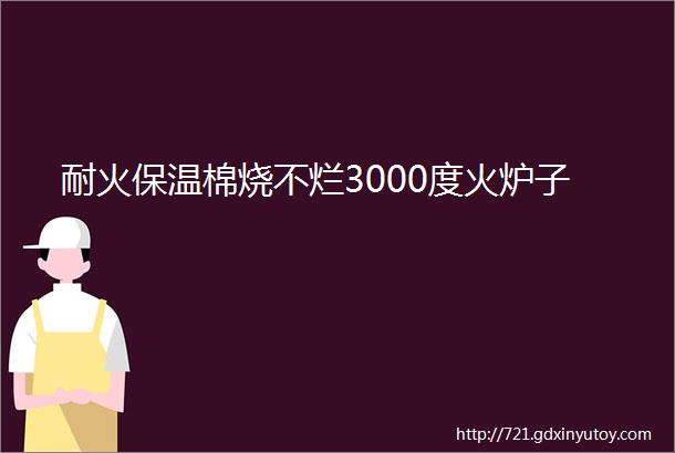 耐火保温棉烧不烂3000度火炉子