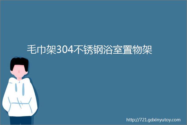 毛巾架304不锈钢浴室置物架