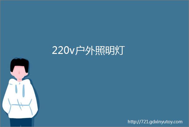 220v户外照明灯